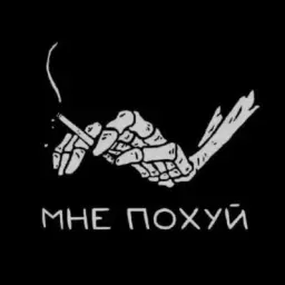 svix_x