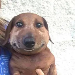gugikl
