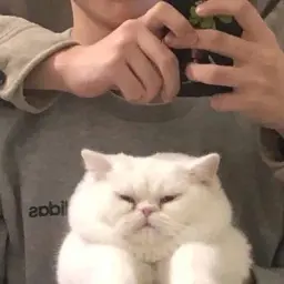 Happy_Drunk