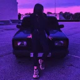 13038362