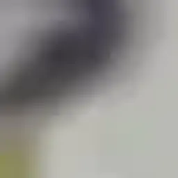 gllerk
