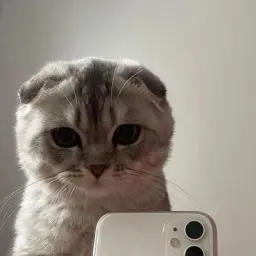 loonge