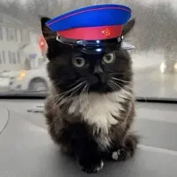 mynameisjax