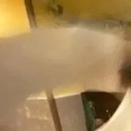 v1tma