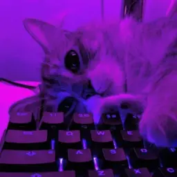 scqped_