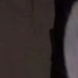 cmetanka_izi