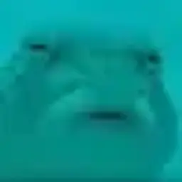 userz
