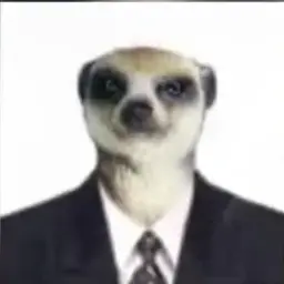ponchaaara
