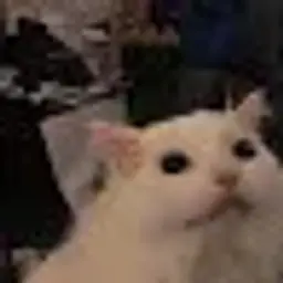 Juliyus