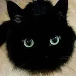 Kirilll0