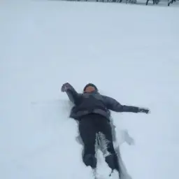 FailsNow