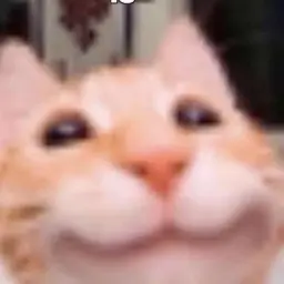sema__gg