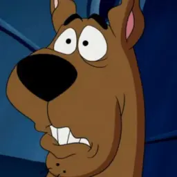 scoobywork