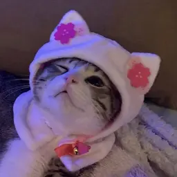 booshaa