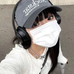 ankviz