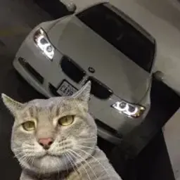 TGE