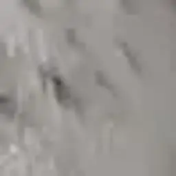 Msmdmdmsmsmd