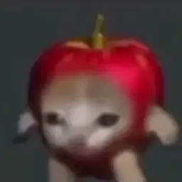 aplapie