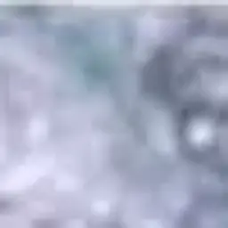 BuyerSyeak