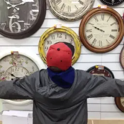 Pl1nt0o