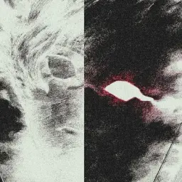 qwerasdfw