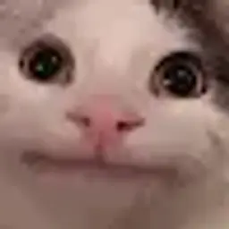 miminiki