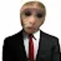 SLIDEE
