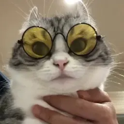 LJAGYX