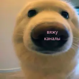 BINDBA