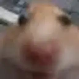 Zaze77