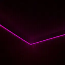 lizZzerg1n