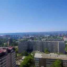 Jabbim
