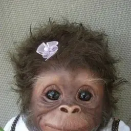 sam2012