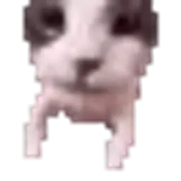 nkorgopolcev899