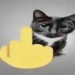 shellaff