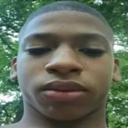d1masavr
