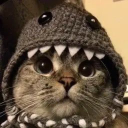 shi_v7