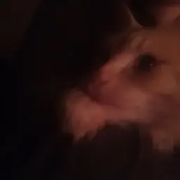 bkqqiiziiz
