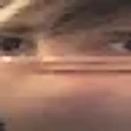 Ciberxleb