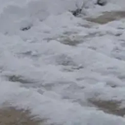 snegapad