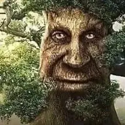 Qwertyui09