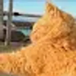 ItsLevTOP