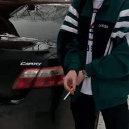 AnfoxL1fe