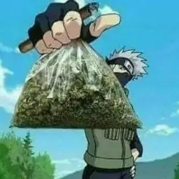 Zexitwar
