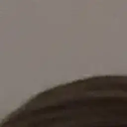 Rinnisydonniy