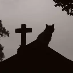 dukepeaceduke