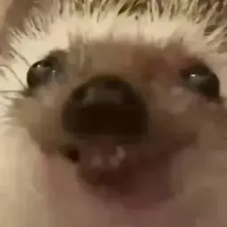 Наруто7