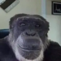 kiberzhab