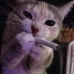 mellorwex