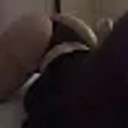 plohoyparen2